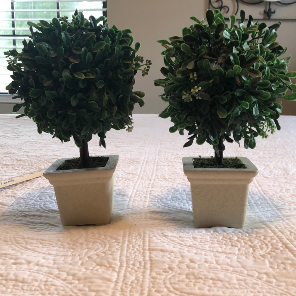 Faux boxwood topiaries